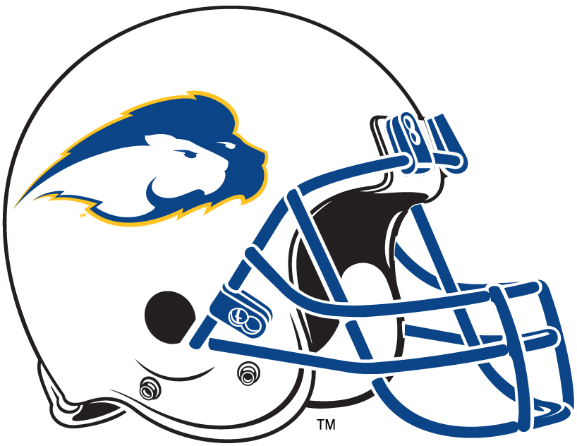 Hofstra Pride 2005-2008 Helmet Logo diy iron on heat transfer